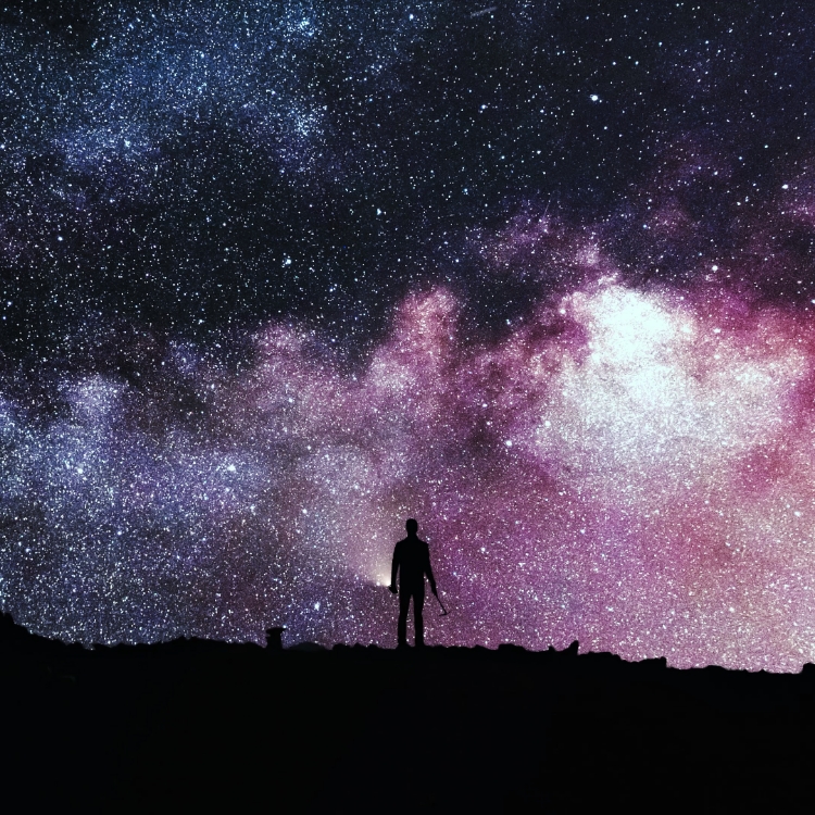 YANASE X FIELD | 株式会社ヤナセ