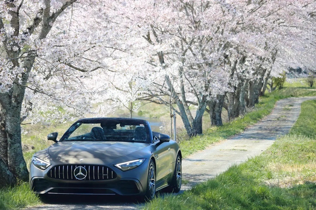 Spring Sense